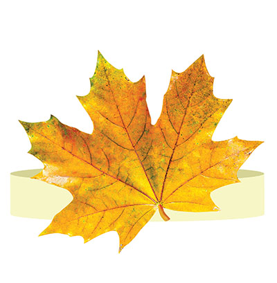 Ободок 'Осенний лист', 5КP-032