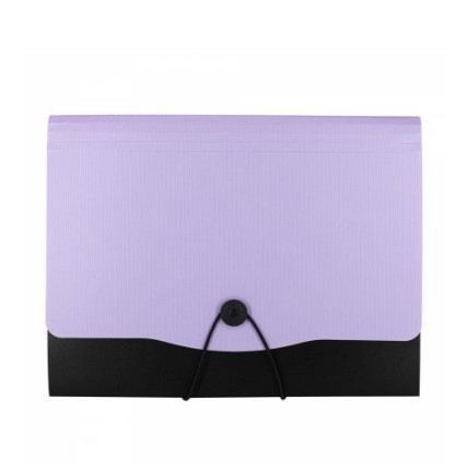 Папка-картотека Alingar, A4, 330х250 мм, на пуговице, пластик, 13 отделений, сиреневый, AL12822;2