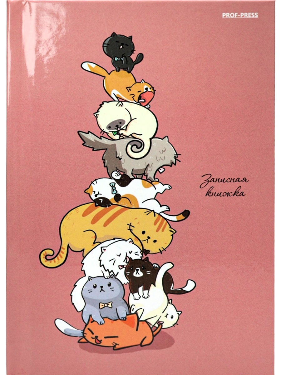 Записная книжка 'Башня с котами', А6 , 64 листа, 64-6706