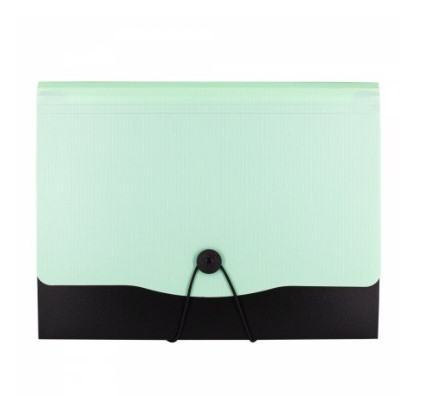 Папка-картотека Alingar, A4, 330х250 мм, на пуговице, пластик, 13 отделений, мятный клапан, AL12822