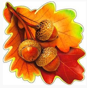 Украшение на скотче 'Желуди', (1;уп), А-113-453