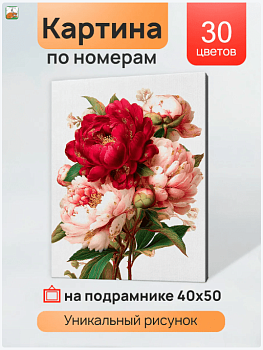 Холст с красками 40x50 см по номерам (в коробке) Нежность пионового букета